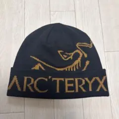 2026年最新】ARC'TERYX メンズ ニット帽・ビーニーの人気アイテム