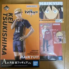 一番くじ　ハイキュー　ゴミ捨て場の決戦2 A賞　月島蛍フィギュア　アクスタ他