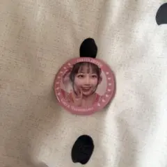 FRUITSZIPPER キャンディ 缶バッジ 松本かれん