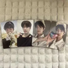 straykids スンミン トレカ MAXIDENT