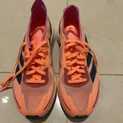 Item thumbnail for item 9574c444-1f83-4507-843b-ec2afd80b21f