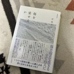 傷を愛せるか 増補新版
