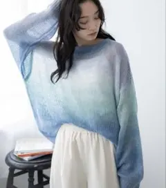 WEGO グラデーションメッシュニット