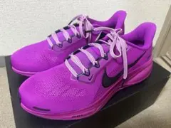 お片付け大臣様用値下げ済み 【完売カラー】未使用品 ナイキ ペガサス 41