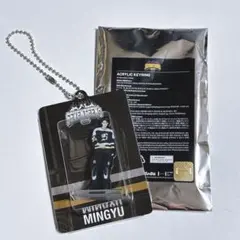 SEVENTEEN ミンギュ HOME アクリルキーホルダー