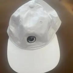 Item thumbnail for item 49ff0209-f853-4bf0-aef3-a22e19611446