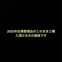 2025年在庫整理品