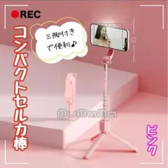 Item thumbnail for item 1ad17a19-2c7f-47ca-8eee-19e19bbac7d3