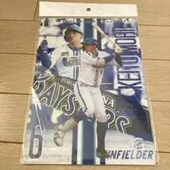 横浜DeNAベイスターズ 森敬斗 下敷き