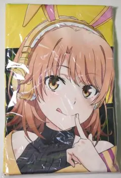 【未開封】俺ガイル完 一色いろは ゲーミングファッション ほぼ等身大タペストリー