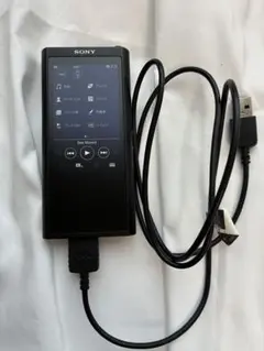 ジャンク品 SONY ウォークマン NW-ZX507 NW-A105 2台セット - メルカリ