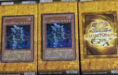 クラシックレア 青字（ウルトラレア）遊戯王 D-HERO ダイヤモンドガイ