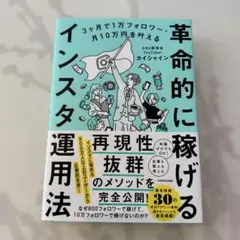 革命的に稼げるインスタ運用法