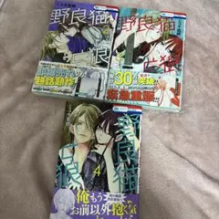 Item thumbnail for item 244c7a17-d4fd-4eff-9ea1-cd5257fc74db