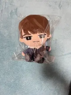 Snow Man 渡辺翔太　すのチル　ぶらさがらないシリーズ　BIG