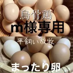 m様専用　烏骨鶏の卵20個　まったり卵20個　同梱