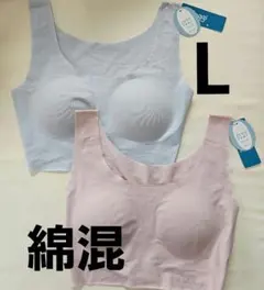 Item thumbnail for item c00dc4e4-eaa5-4ef1-8030-c03711945278