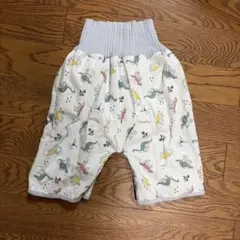恐竜柄おねしょパンツのサムネイル