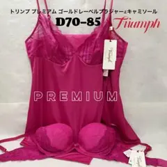 D70/85 トリンプ プレミアム ゴールドレーベル ブラ&キャミソール