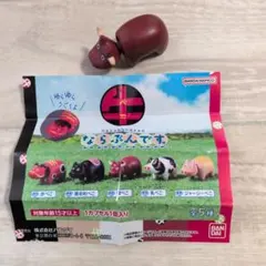 牛ならぶんです。 闘べこ 가챠