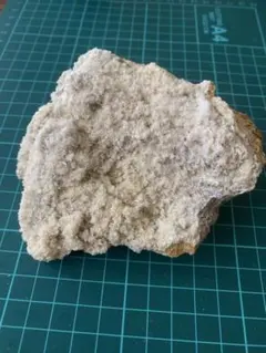 薬食同源 食効 薬用植物学から見た食材の効用／水野瑞夫／櫻井宏紀