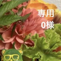 専用ページ 0様