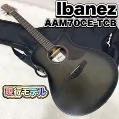 2026年最新】ibanez ハードケースの人気アイテム - メルカリ