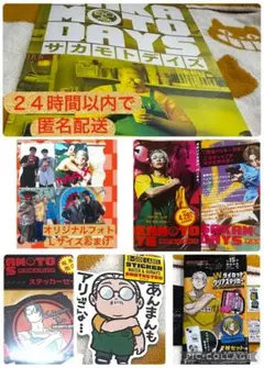 目黒蓮主演サカモトデイズパンフレット　坂本太郎シール　シール２種オリジナルフォト