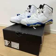 NIKE AIR JORDAN 6 RETRO BG