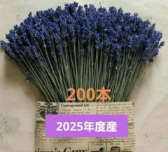 ラベンダーポプリ ガラスミニボトル入り3個 ハンドメイド ラベンダーポプリ ガラスミニボトル入り3個 ハンドメイド