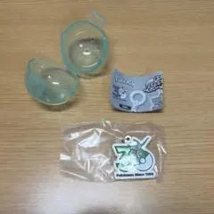 ポケモン　30周年　メタルチャームマスコット　レックウザめじるしアクセサリー