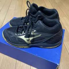 Mizuno バレーボールシューズ ブラック/ゴールド　女性用