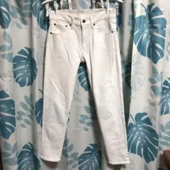 Item thumbnail for item d6811c1e-d241-4c29-b291-76286f4b71ad