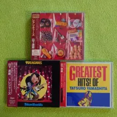 美品 無敵超人ザンボット3 総音楽集 CD帯付き - メルカリ