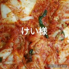 けい様専用です。