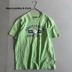 【アバクロンビー&フィッチ】半袖Tシャツ　コットン100% クルーネック（M）