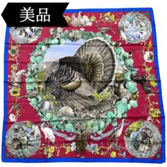 2026年最新】テキサス動植物図鑑の人気アイテム - メルカリ