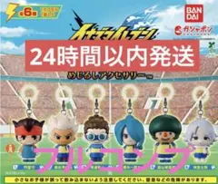 イナズマイレブン 英雄たちのヴィクトリーロード めじるしアクセサリーコンプリート