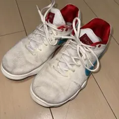 NIKE HYPERDUNK 2017 LOW EP