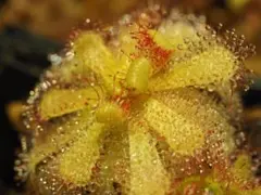 venusmonkeycup様 リクエスト 2点 まとめ商品