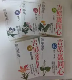 吉原裏同心　佐伯泰英　36から40 5巻セット