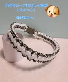 Item thumbnail for item 9de49a90-b913-49ee-bf54-10b14e47a1c6