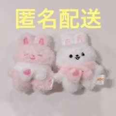未使用】Straykids SKZOO MICRO ジニレット 2点 - メルカリ