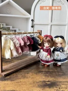 ❤︎おうち型人形用木製収納ケース ネオブライス アイシードール