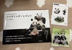 Item thumbnail for item d4086c3a-600b-47df-825c-67d201e49810