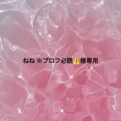 2025年最新】プロフ必読の人気アイテム - メルカリ