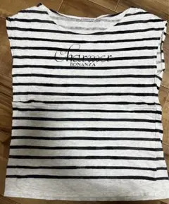 CROLLA クローラ　ボーダー　ロゴTシャツ