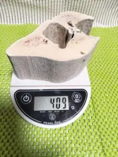 天然素材 極上 鯨の歯、抹香鯨 歯類、マッコウ鯨 牙 重さ80g 天然素材 極上 鯨の歯、抹香鯨 歯類、マッコウ鯨 牙 重さ80g