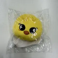 Stray Kids　スキズ　Felix　フィリックス　BbokAri　ポガリ