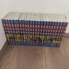 初版もあり ジョジョの奇妙な冒険 第7部 全巻,岸田露伴ルーヴルへ行く